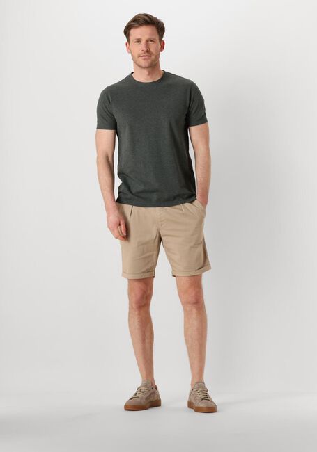 Dunkelgrün PROFUOMO T-shirt T-SHIRT CREW NECK SS - large