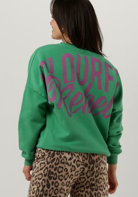 Grüne COLOURFUL REBEL Sweatshirt CR BACK LOGO WASH DROPPED SHOULDER SWEAT - large