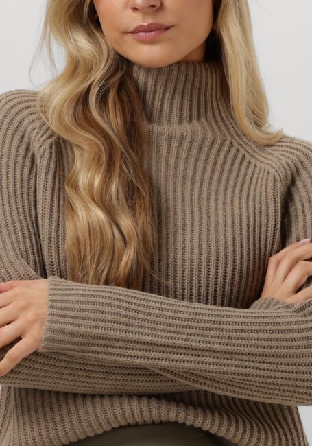 Taupe DRYKORN Rollkragenpullover ARWEN - large