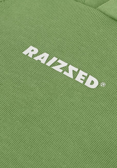 Grüne RAIZZED Pullover WILLISTON - large