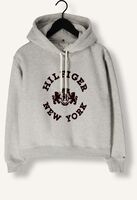 Hellgrau TOMMY HILFIGER Sweatshirt REG VARSITY FLOCK HOODIE Hellgrau TOMMY HILFIGER Sweatshirt REG VARSITY FLOCK HOODIE - medium