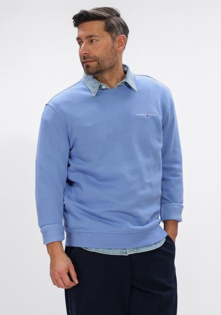 Hellblau TOMMY JEANS Sweatshirt TJM REG BADGE HOODIE EXT - large