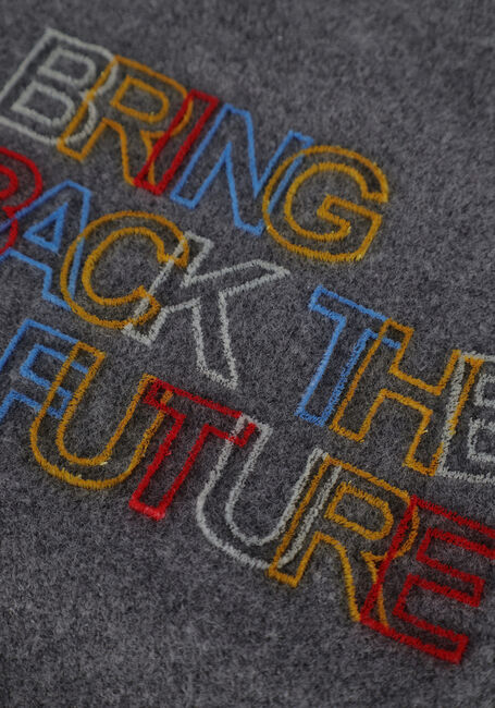 Graue AO76 Pullover ADRIAN C-NECK FUTURE - large