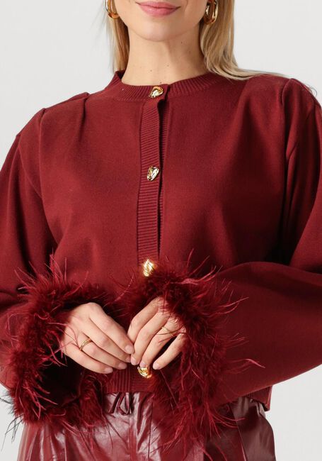 Bordeaux REFINED DEPARTMENT Strickjacke MADY - large