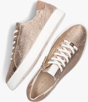 Goldfarbene HASSIA Sneaker low BARI - medium