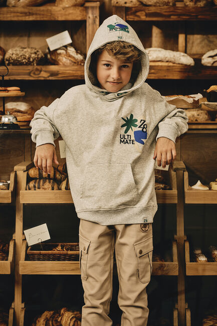 Hellgrau Z8 Pullover & Cardigans JONAS - large