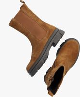 Braune TON & TON Ankle Boots HOLLY - medium