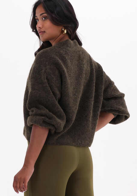 Dunkelgrün GESTUZ Strickjacke ALPHAGZ V-CARDIGAN - large
