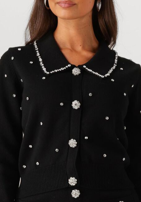 Schwarze SILVIAN HEACH Strickjacke CARDIGAN NOLLEY - large