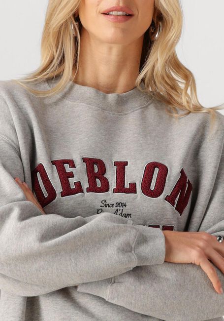Hellgrau DEBLON SPORTS Sweatshirt MALOU SWEATER - large