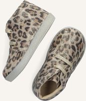 Beige FALCOTTO Sneaker CONTE Beige FALCOTTO Sneaker CONTE - medium