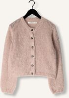 Hell-Pink INWEAR Strickjacke JETRAIW CARDIGAN Hell-Pink INWEAR Strickjacke JETRAIW CARDIGAN - medium