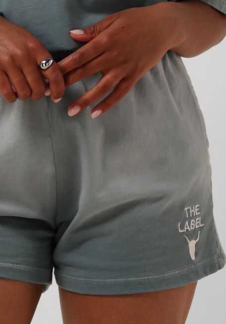 Graue ALIX THE LABEL Hosen LADIES KNITTED SPRAYED SWEAT SHORTS - large