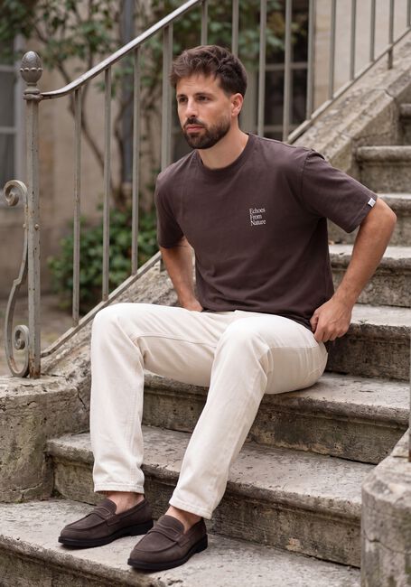 Braune ANERKJENDT T-shirt AKVILLADS ECHOS SS TEE - large