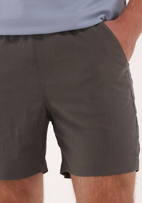 Gr&uuml;ne PLAIN Kurze Hose TURI SHORTS 927 - large