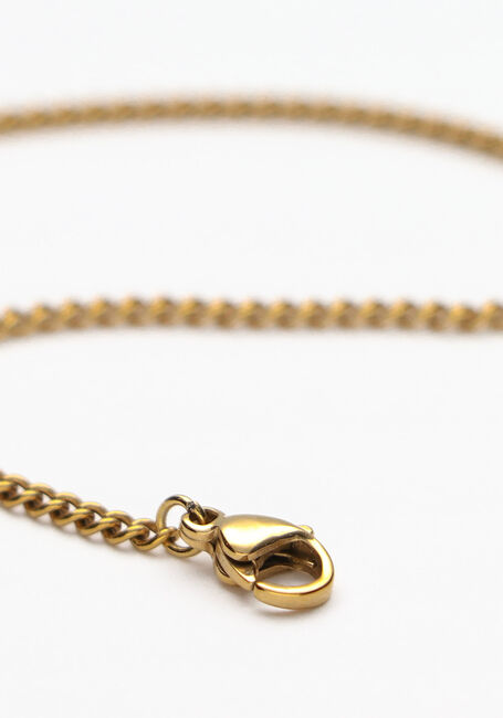 Goldfarbig NOTRE-V Kette KETTING MUNT - large