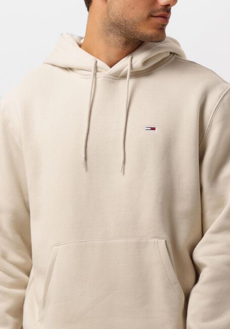 Beige TOMMY JEANS Pullover & Cardigans TJM REG S FLAG HOODIE - large