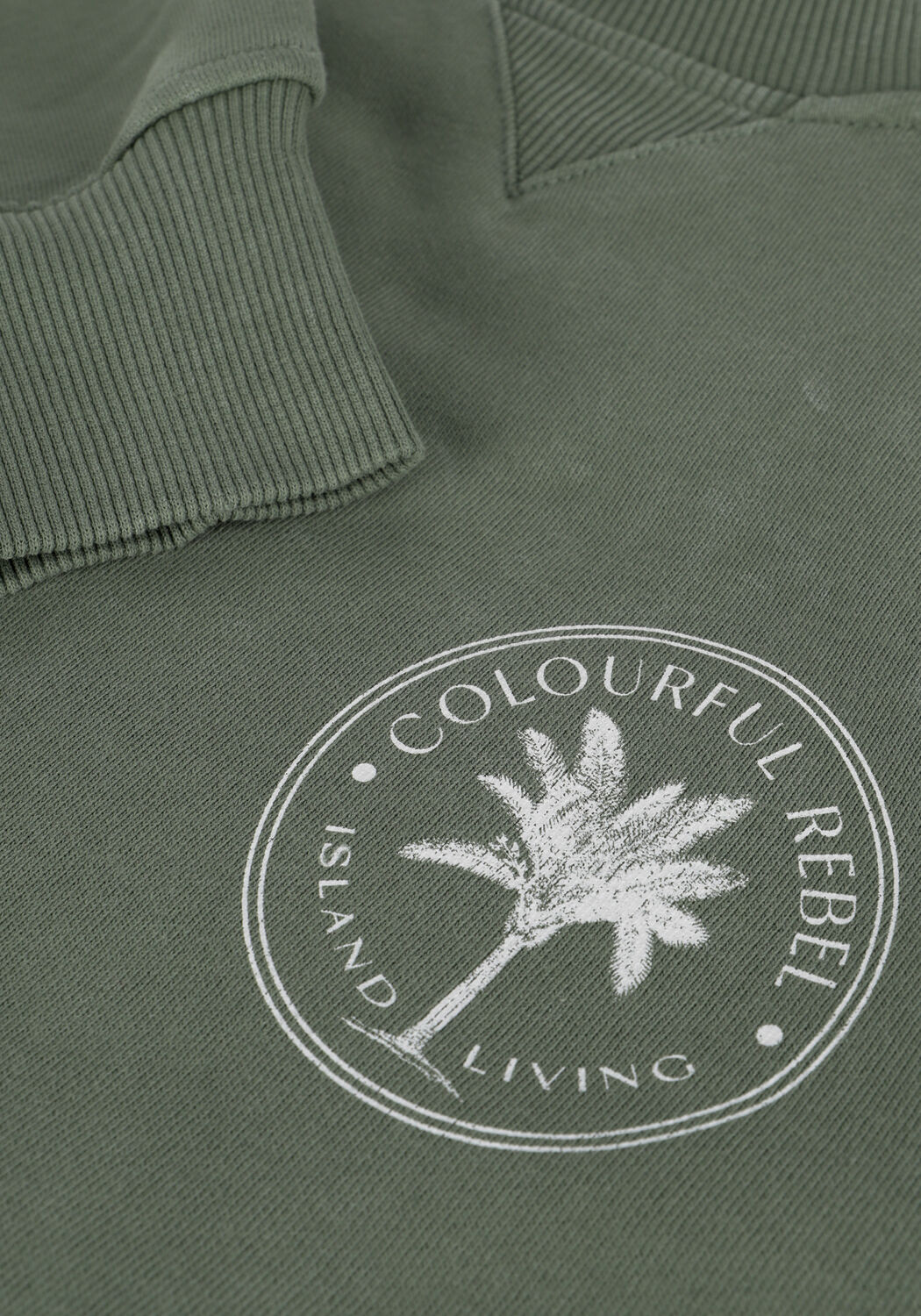 Gr&uuml;ne COLOURFUL REBEL Sweatshirt ISLAND LIVING SMALL CHEST WASHED BASIC SWEAT - large