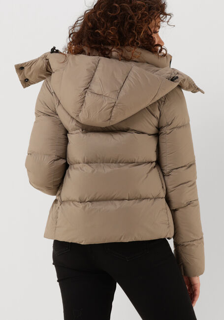 Taupe CALVIN KLEIN Wattierte Jack CK MW DOWN SHORT PUFFER - large