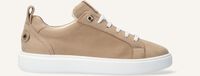 Taupe NOTRE-V Sneaker Low 02-15 Taupe NOTRE-V Sneaker Low 02-15 - medium