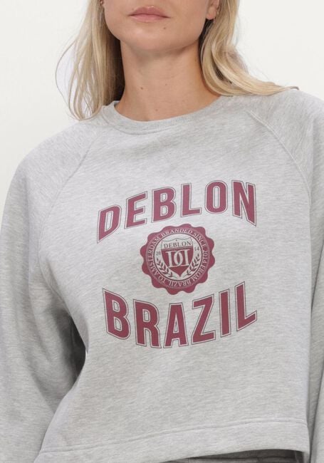 Graue DEBLON SPORTS Sweatshirt AYMEE SWEATER - large