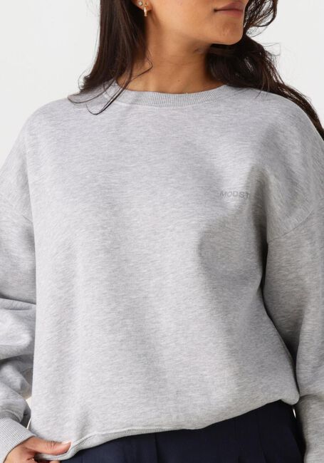 Hellgrau MODSTRÖM Sweatshirt TIAMD SWEAT - large