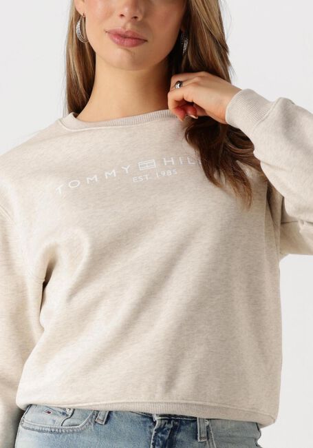 Beige TOMMY HILFIGER Sweatshirt MDRN REG CORP LOGO C-NK SWTSHRT - large