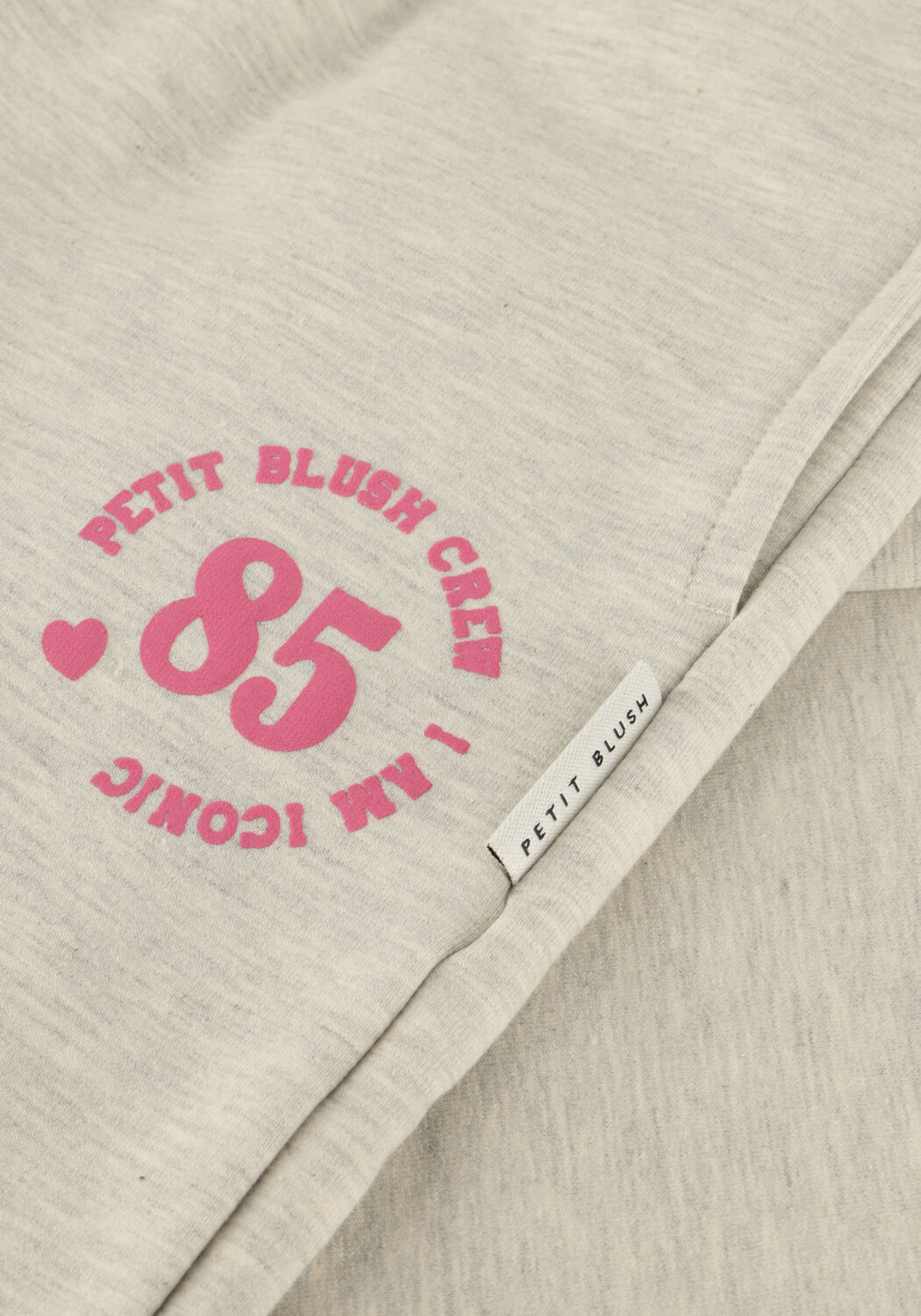 Hellgrau PETIT BLUSH Weite Hose WIDE LEG JOGGER - large