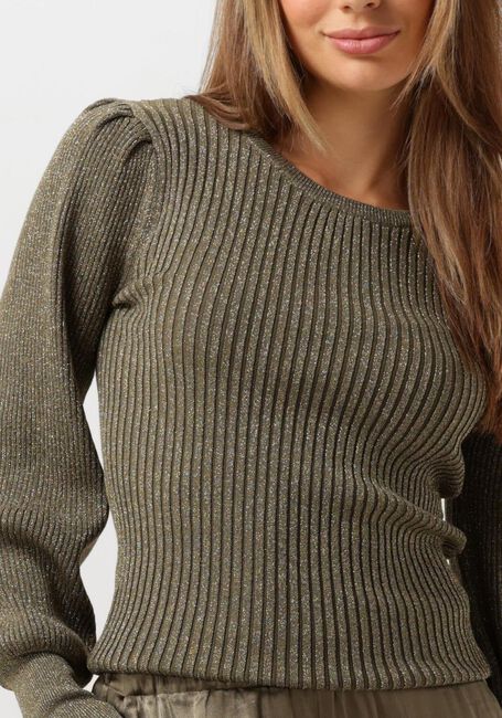 Grüne NUKUS Pullover MULLBERRY PULLOVER LUREX - large