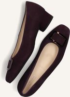 Lilane HASSIA Pumps 302627 Lilane HASSIA Pumps 302627 - medium