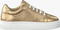 Goldfarbene ROBERTO D'ANGELO Sneaker low FERMO - medium