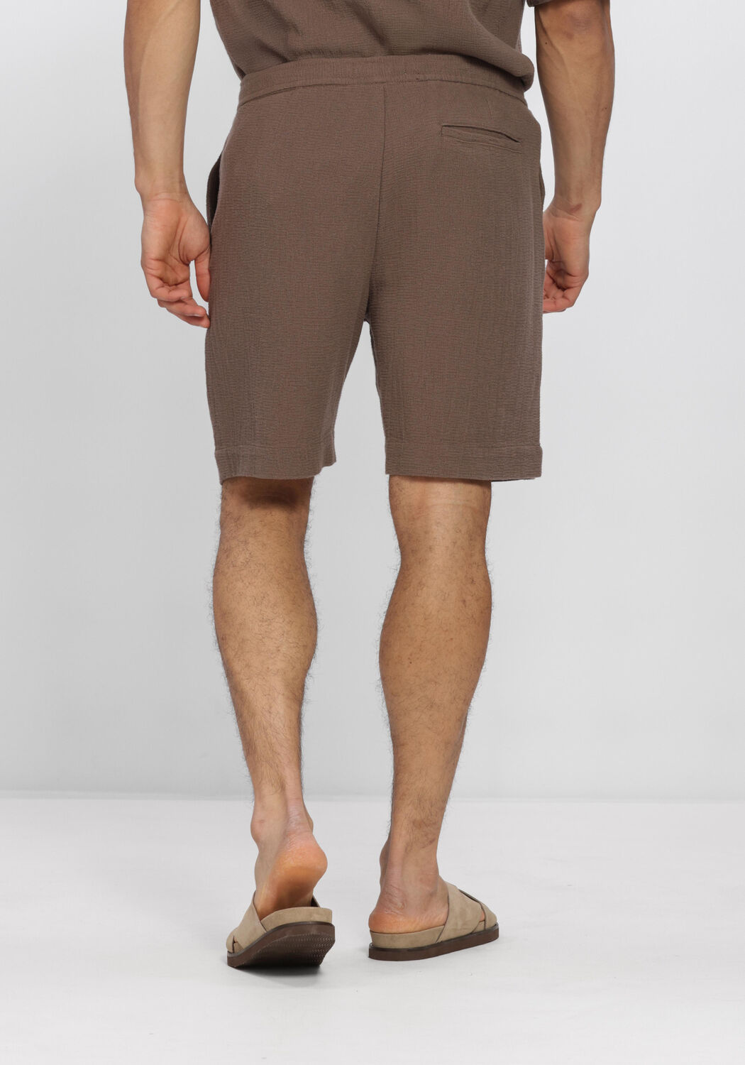 Braune SELECTED MEN Hosen SLHREGCAL SHORTS - large