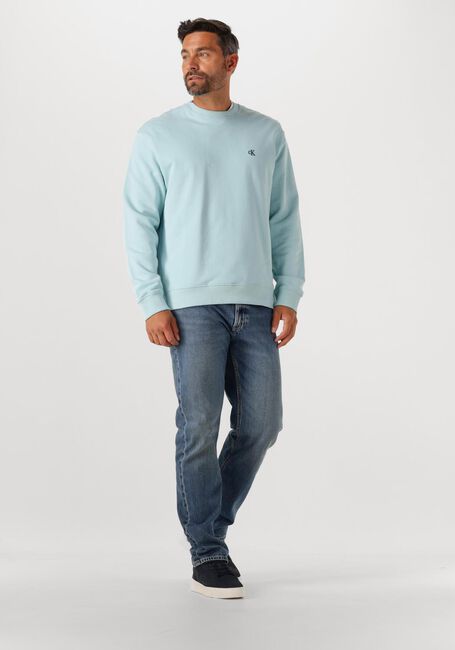Hellblau CALVIN KLEIN Sweatshirt LS EU 350TERRY MONOGRAM CN SWEAT - large
