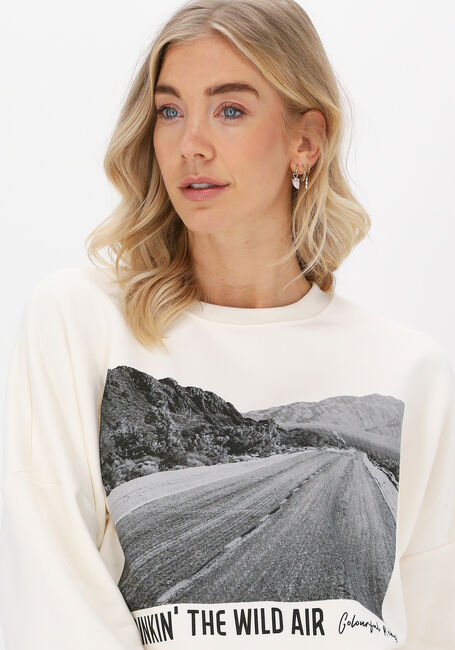 Nicht-gerade weiss COLOURFUL REBEL Sweatshirt WILD AIR DROPPED SHOULDER SWEA - large