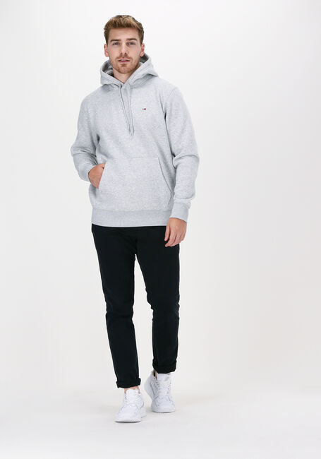 Hellgrau TOMMY JEANS Sweatshirt TJM REGULAR FLEECE HOODIE - large
