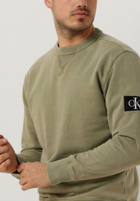 Grüne CALVIN KLEIN Sweatshirt WASHED BADGE CREW NECK - large