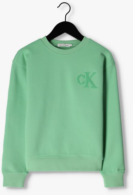 Grüne CALVIN KLEIN Sweatshirt INTERLOCK PIQUE SWEATSHIRT - large