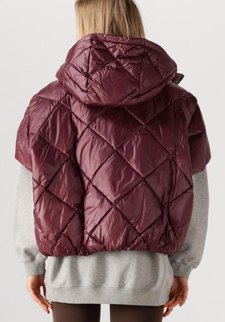 Bordeaux DEBLON SPORTS Wattierte Jack STEVIE BODYWARMER - large