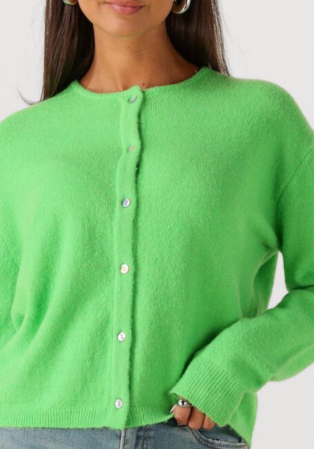 Grüne CIRCLE OF TRUST Strickjacke BODI CARDIGAN - large