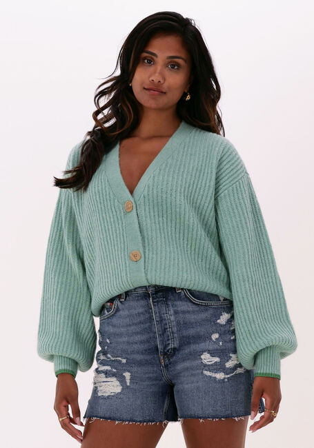 Grüne SCOTCH & SODA Strickjacke FUZZY KNITTED CARDIGAN - large