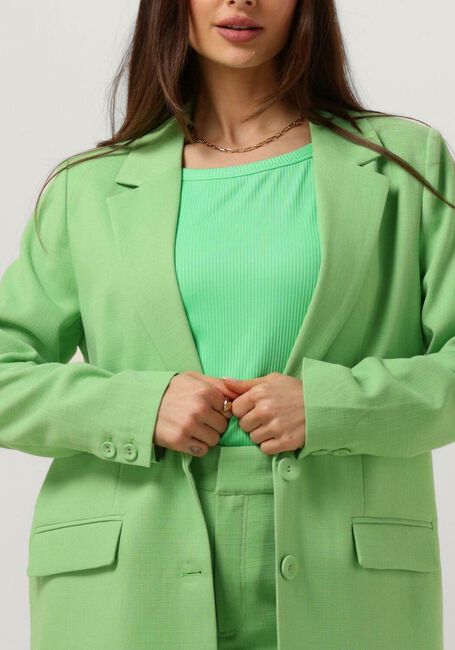 Grüne MY ESSENTIAL WARDROBE Blazer CARLAMW BLAZER - large
