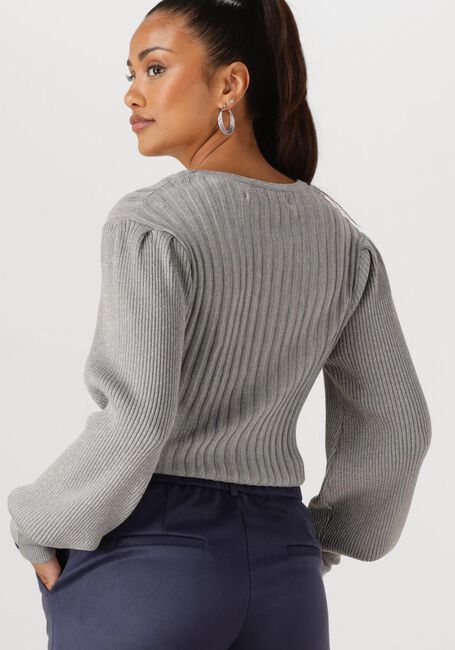 Graue NUKUS Pullover & Cardigans MULBERRY PULLOVER LUREX - large