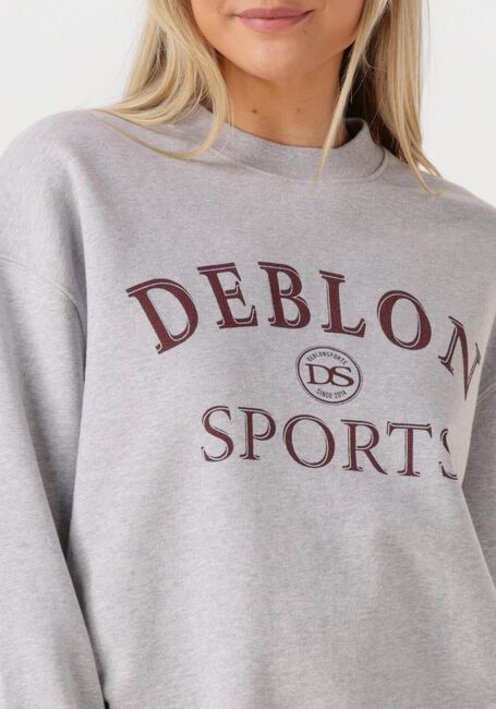Hellgrau DEBLON SPORTS Sweatshirt LILOU SWEATER - large