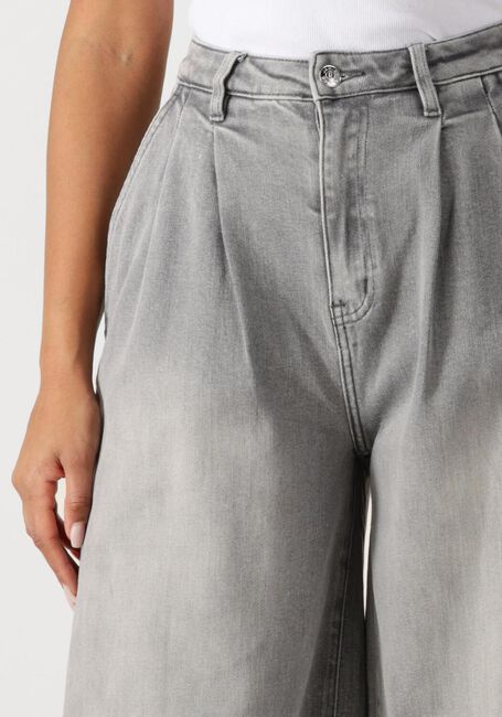 Graue JANICE Wide jeans JEANS WIJDE PIJP STRETCH DOLLAR - large