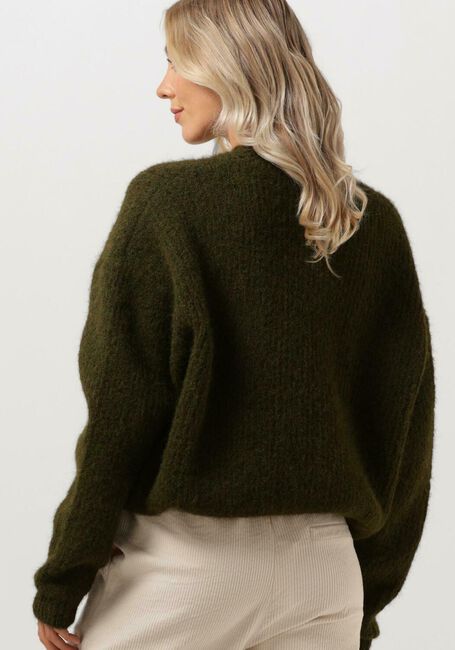Grüne CIRCLE OF TRUST Pullover JOY KNIT - large