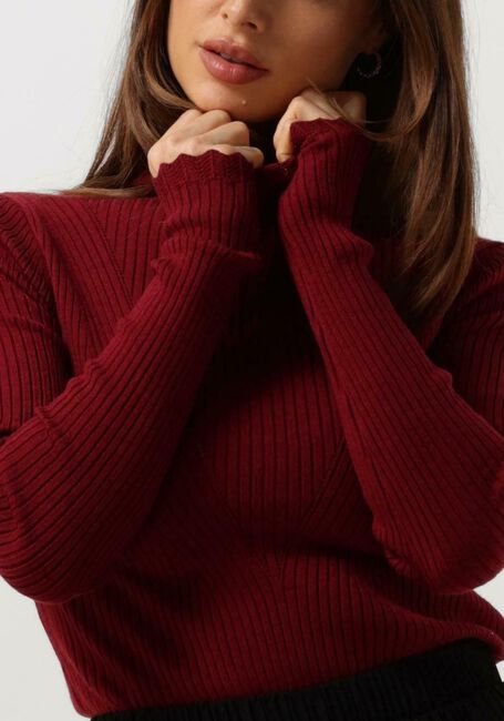 Rote AAIKO Tops & T-shirts VIDA RUFFLE VIS 301 SWEATERS - large