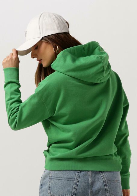 Grüne TOMMY JEANS Pullover TJW XS BADGE HOODIE - large