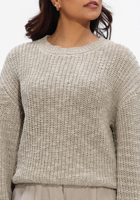 Graue WITHBLACK Pullover & Cardigans WBLSELENA LS PULLOVER - large