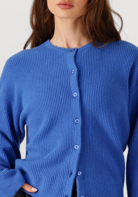 Blaue PENN & INK Strickjacke CARDIGAN W25B345 - large