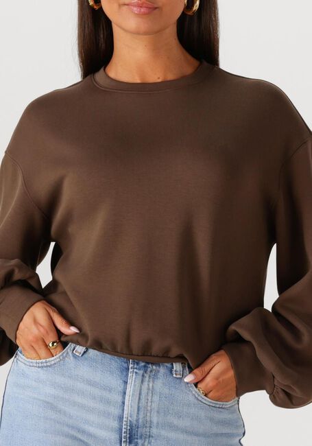 Braune MSCH COPENHAGEN Sweatshirt MSCHBRIONNA IMA Q SWEATSHIRT - large